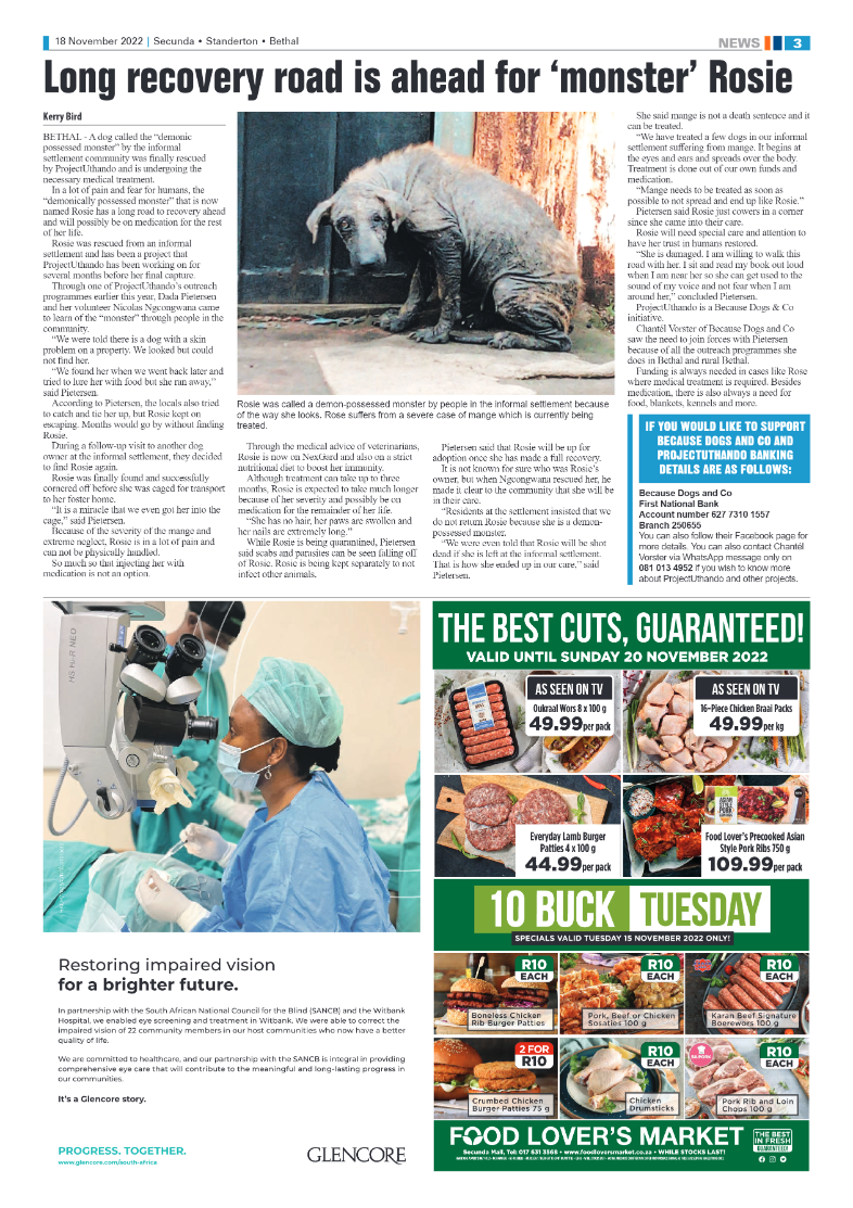 Ridge Times 18 Nov 2022 page 3